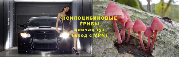 ешки Алзамай