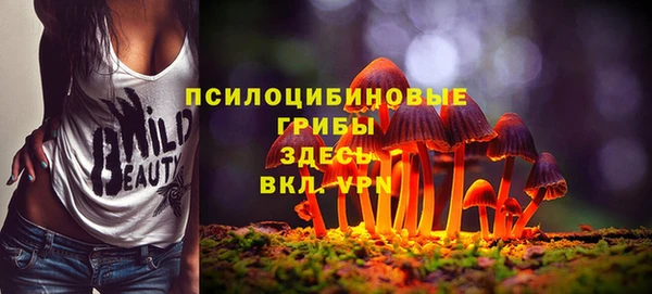 дживик Алексин