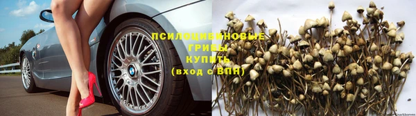 мяу мяу мука Сатка